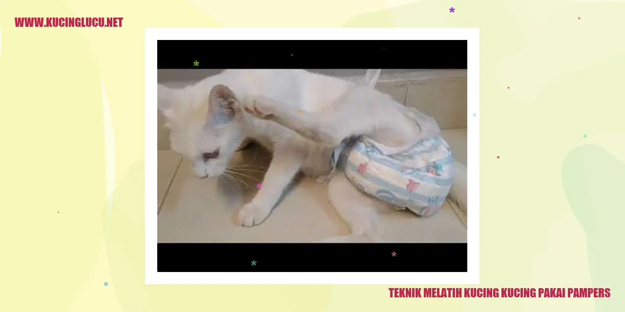 Teknik Mendidik Kucing Mengenakan Pampers
