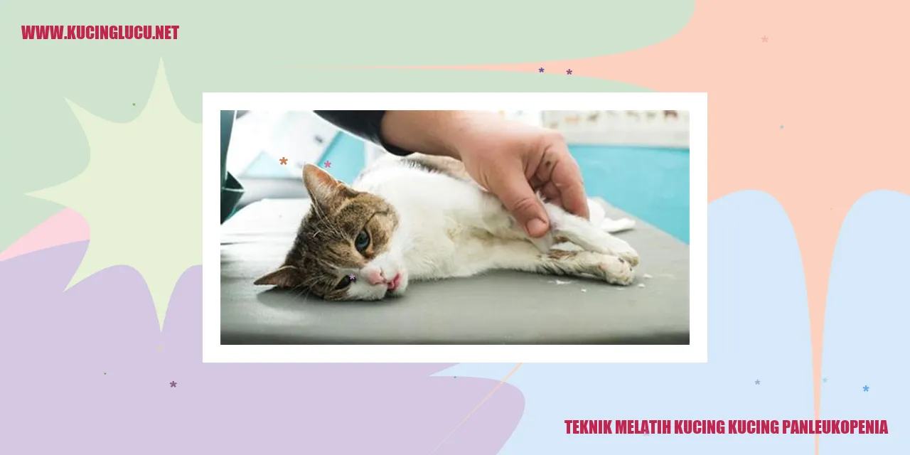 Teknik Melatih Kucing kucing panleukopenia