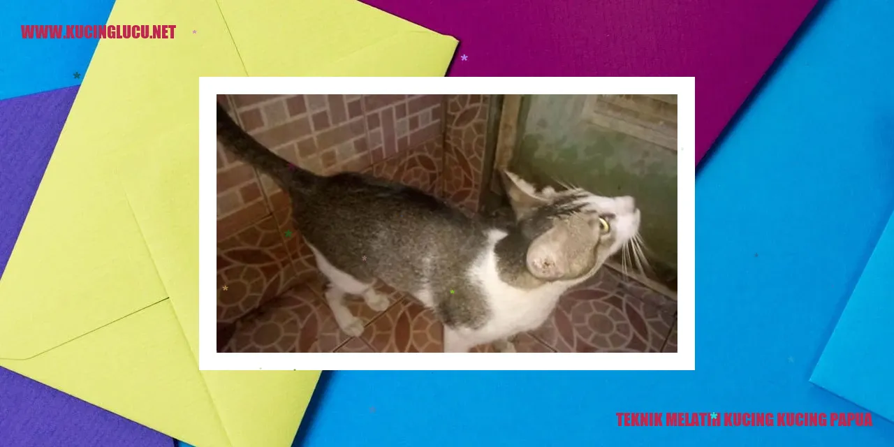 Gambar Kucing Papua