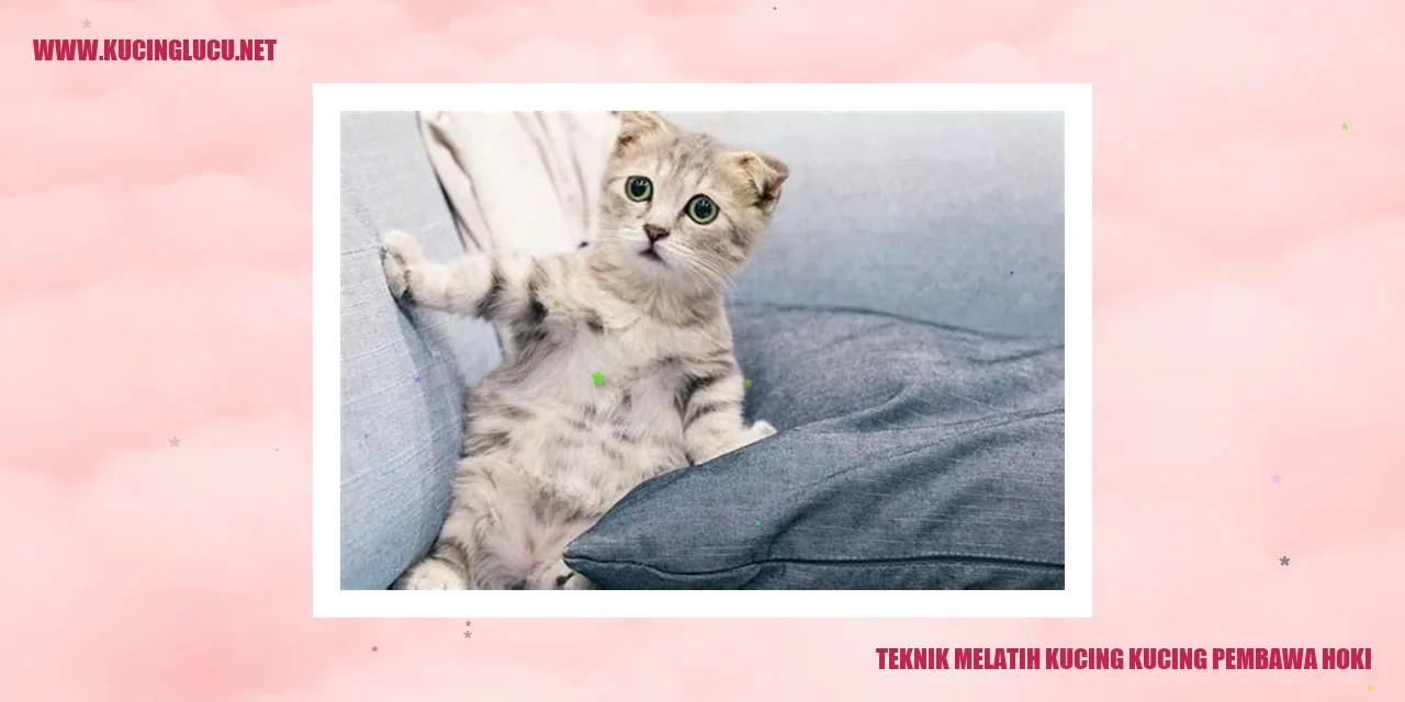 Gambar Kucing