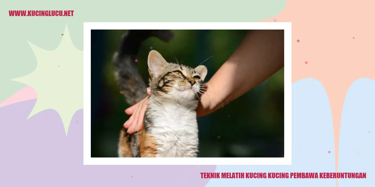 Gambar kucing lucu