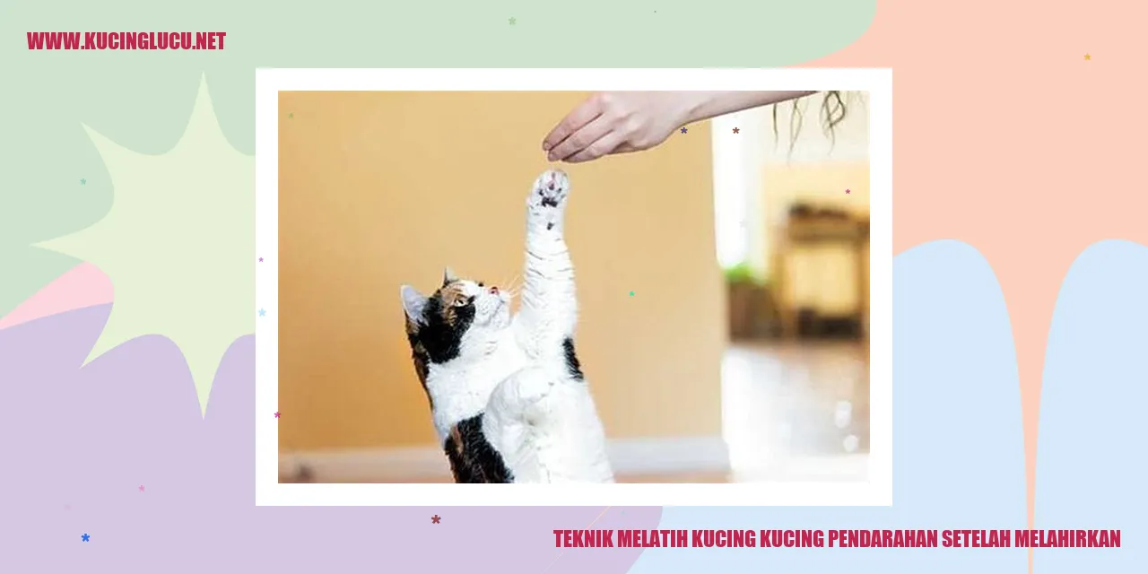 Kucing mengalami pendarahan setelah melahirkan