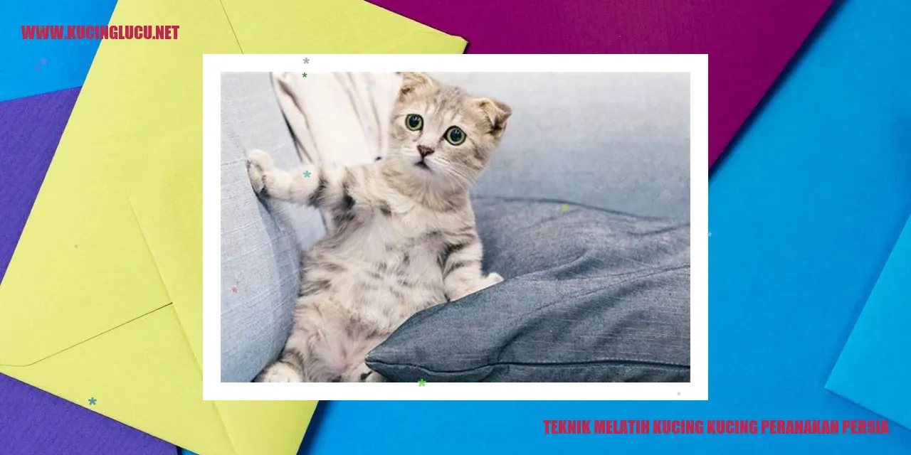 Foto kucing Persia keturunan