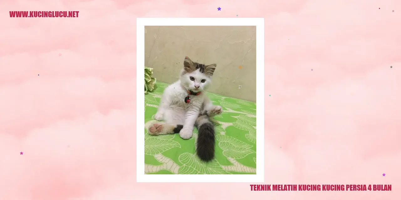 Kucing Persia