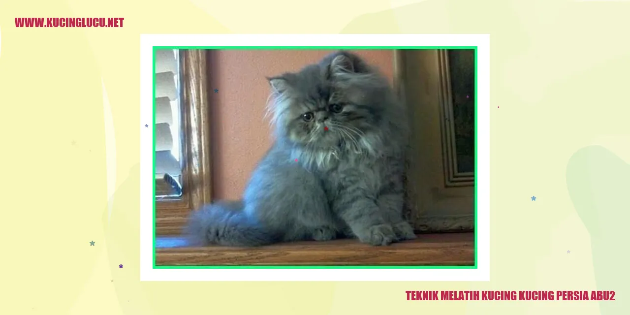 Kucing Persia Abu-abu
