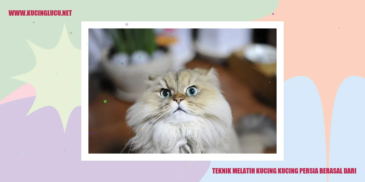 kucing persia