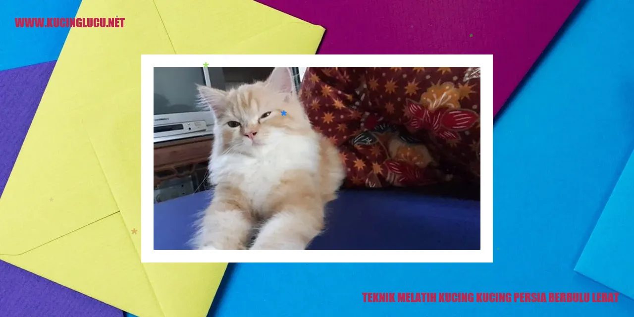 Kucing persia berbulu lebat