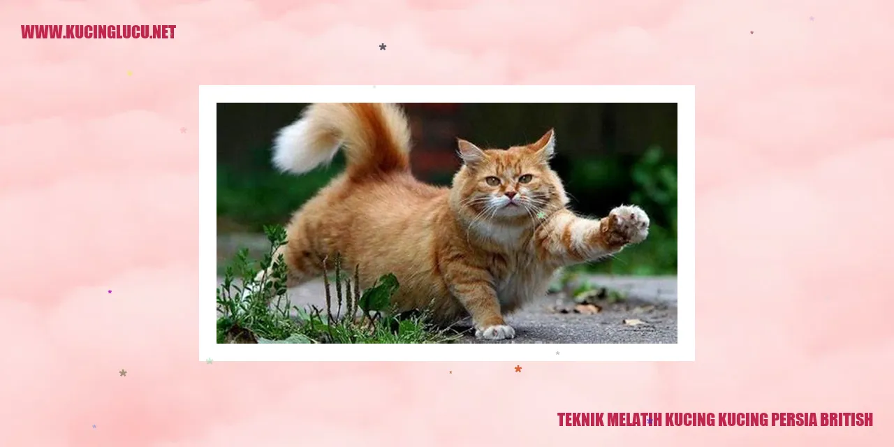 Kucing Persia British