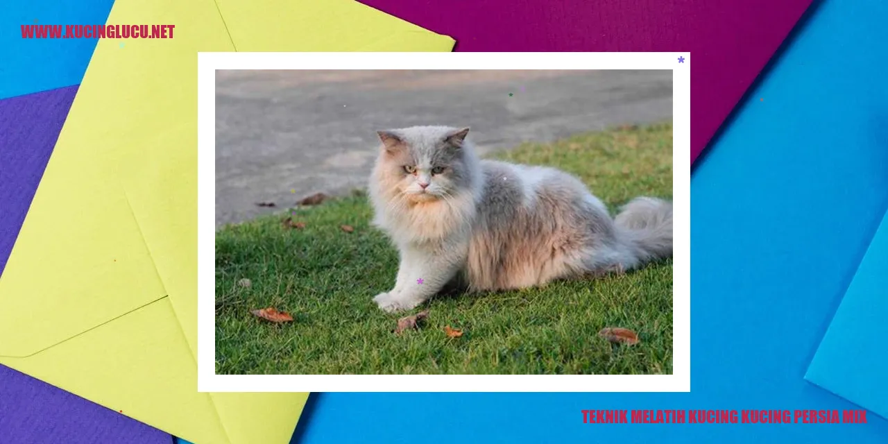 Kucing Persia Mix