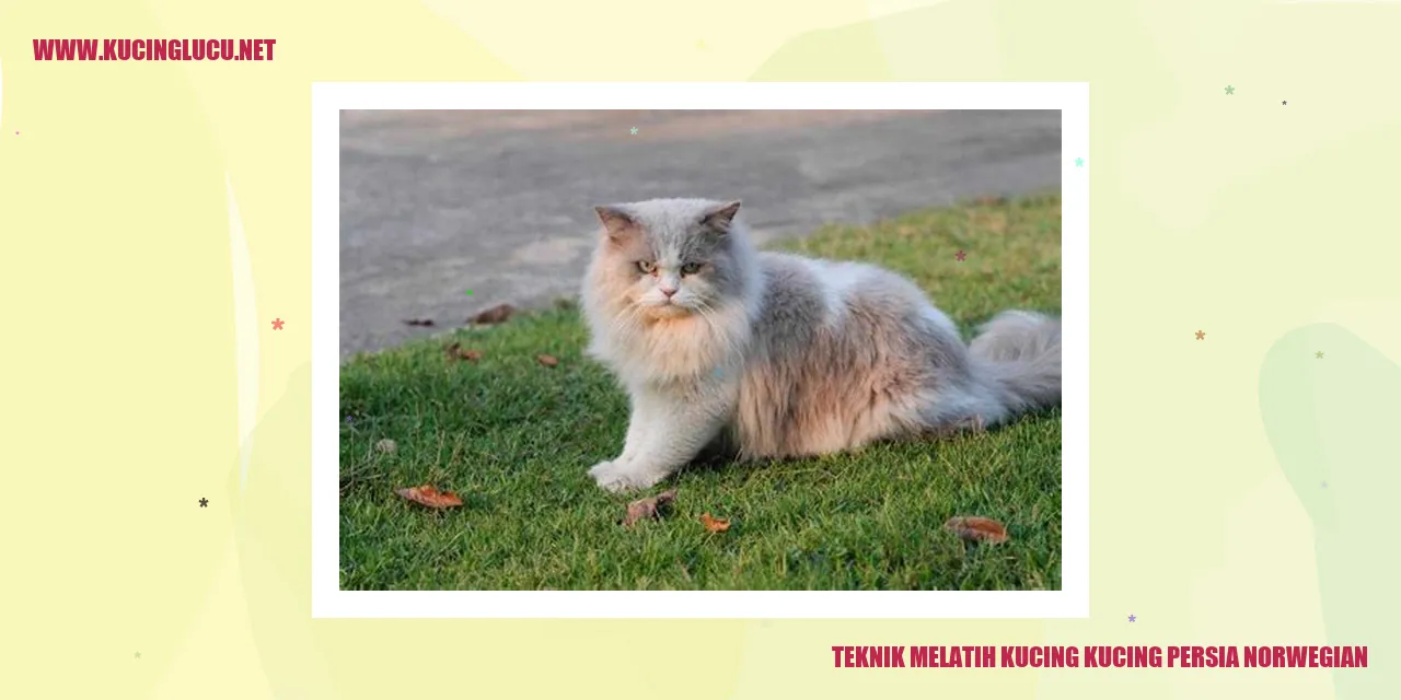 Gambar Kucing Persia Norwegian