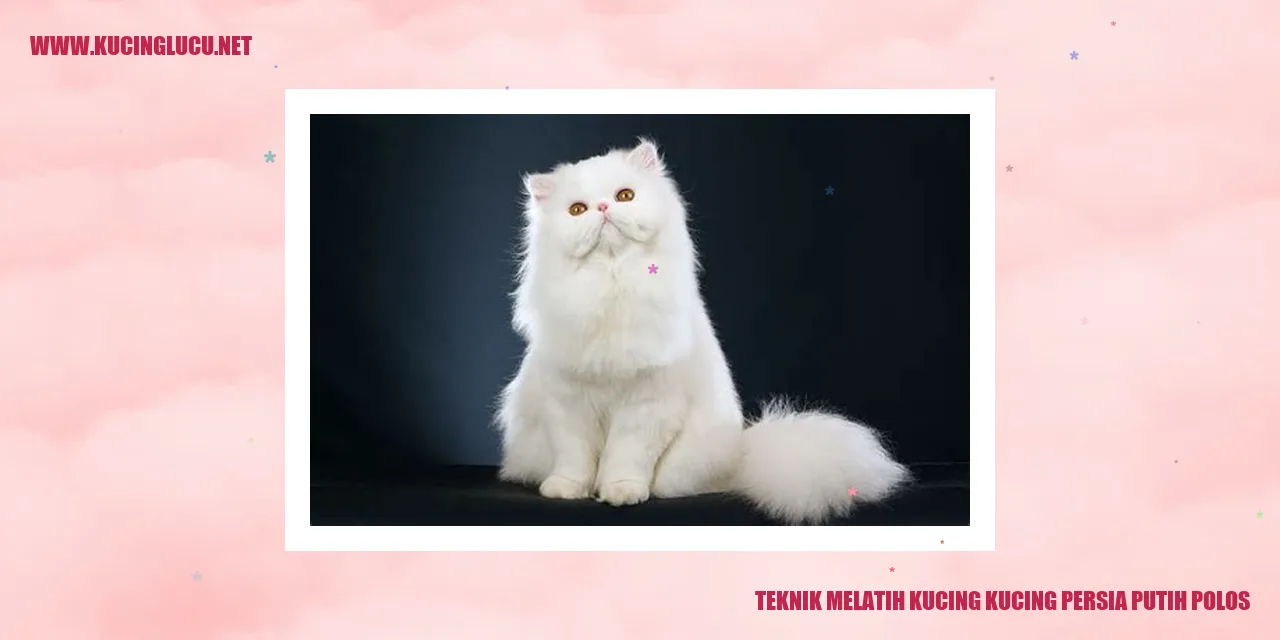 Teknik Melatih Kucing kucing persia putih polos Teknik Melatih Kucing kucing persia putih polos
