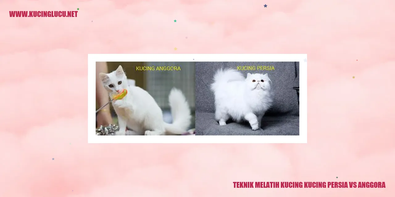 Gambar kucing Persia dan Anggora