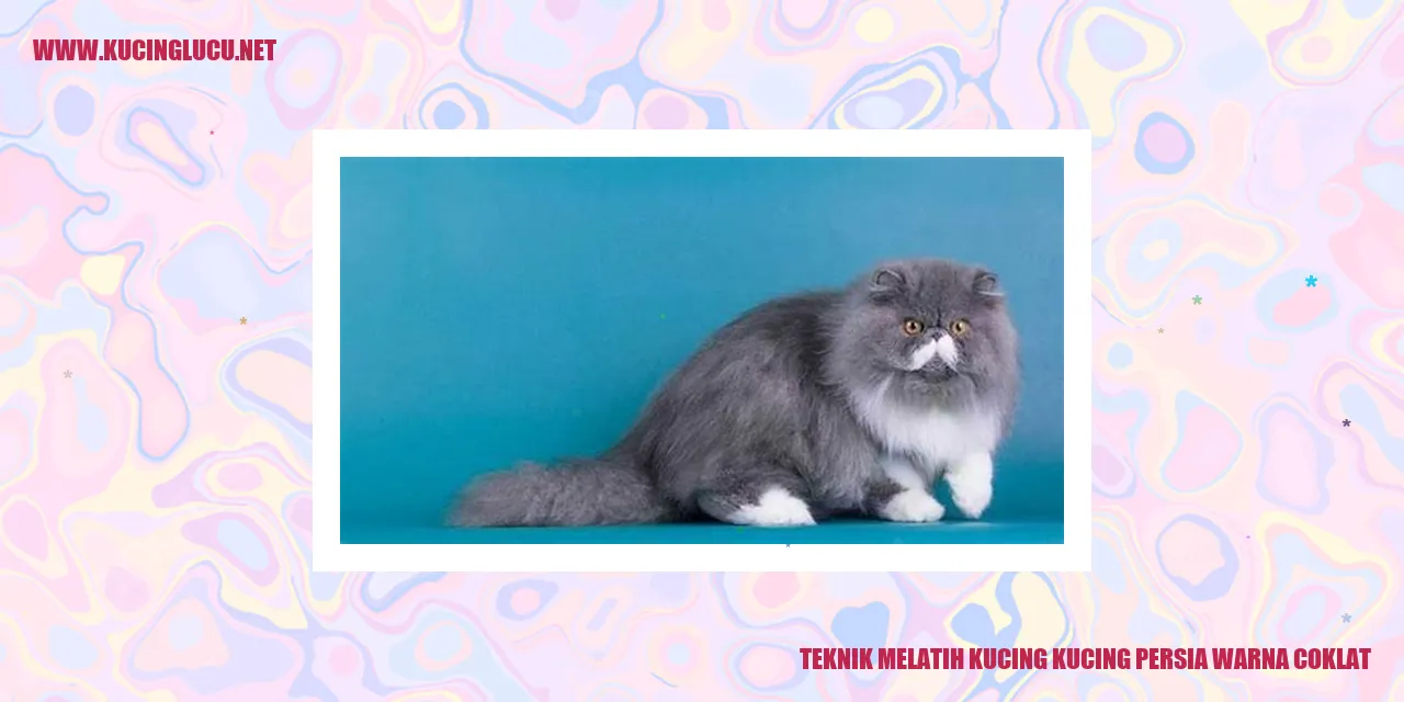 Kucing Persia Berwarna Coklat