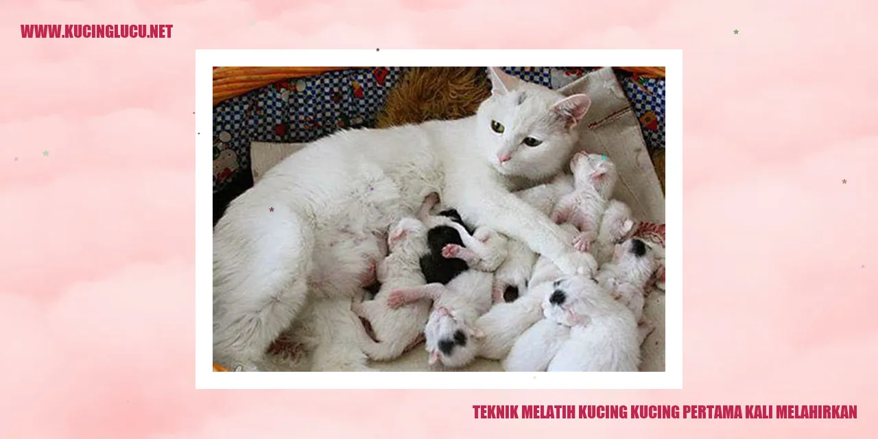 Kucing Melahirkan