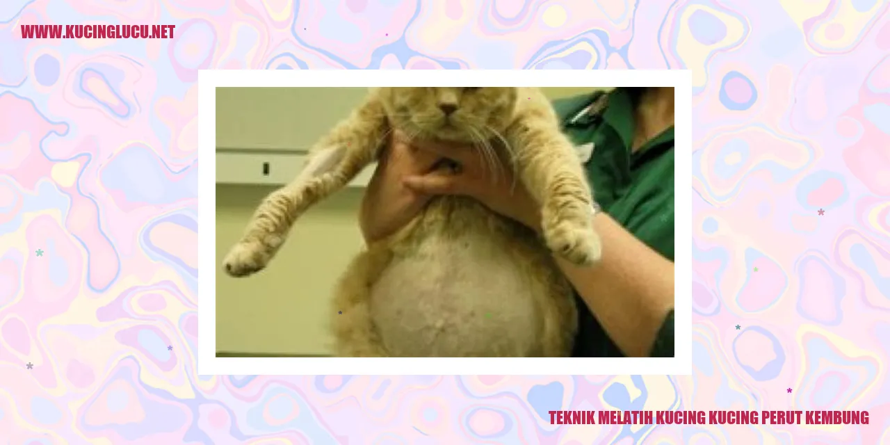 Kucing Mengalami Gangguan Lambung