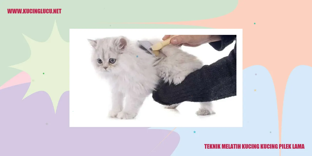 Kucing pilek lama