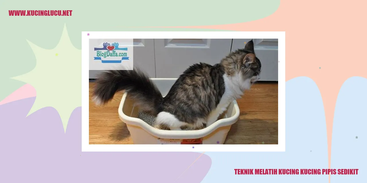 Teknik Mengajari Kucing untuk Buang Air Kecil dengan Teratur