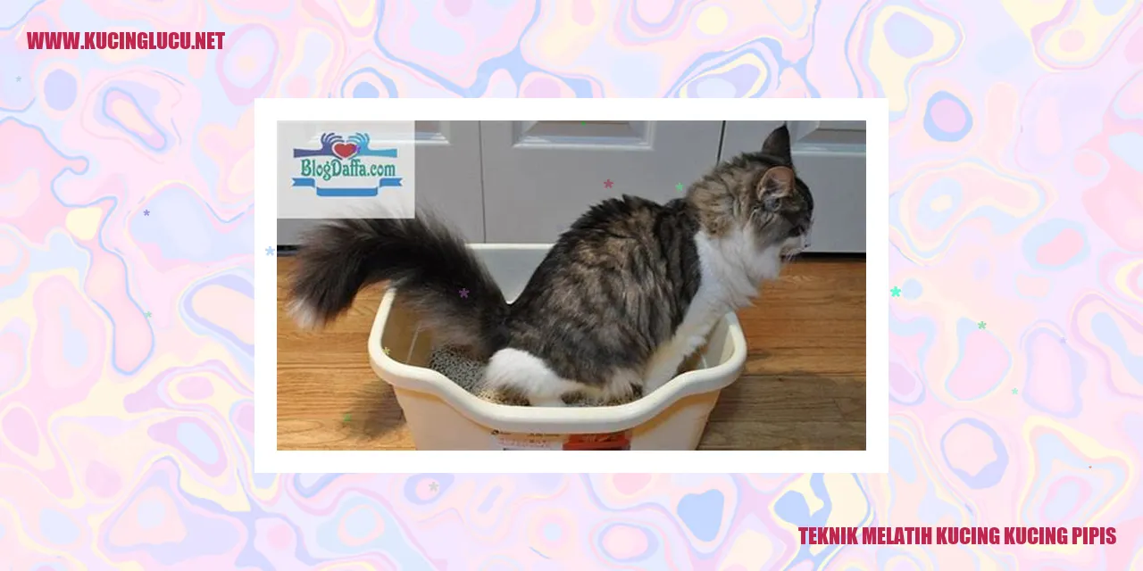 Teknik Mengajar Kucing agar Tidak Buang Air Sembarangan