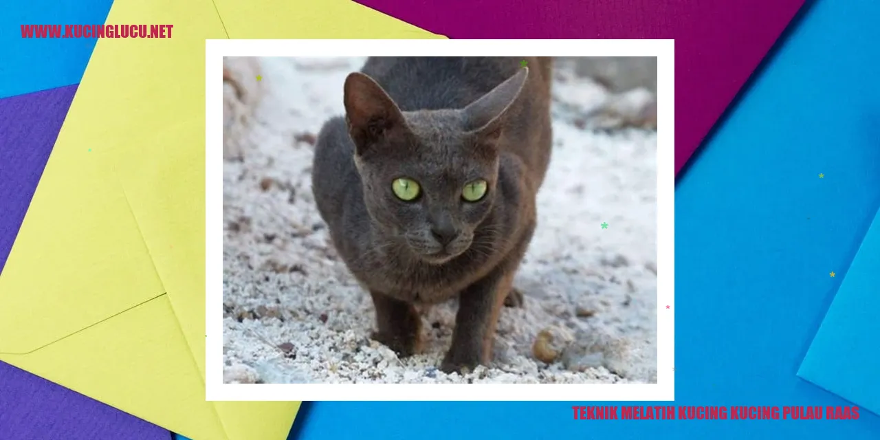 Gambar kucing Raas