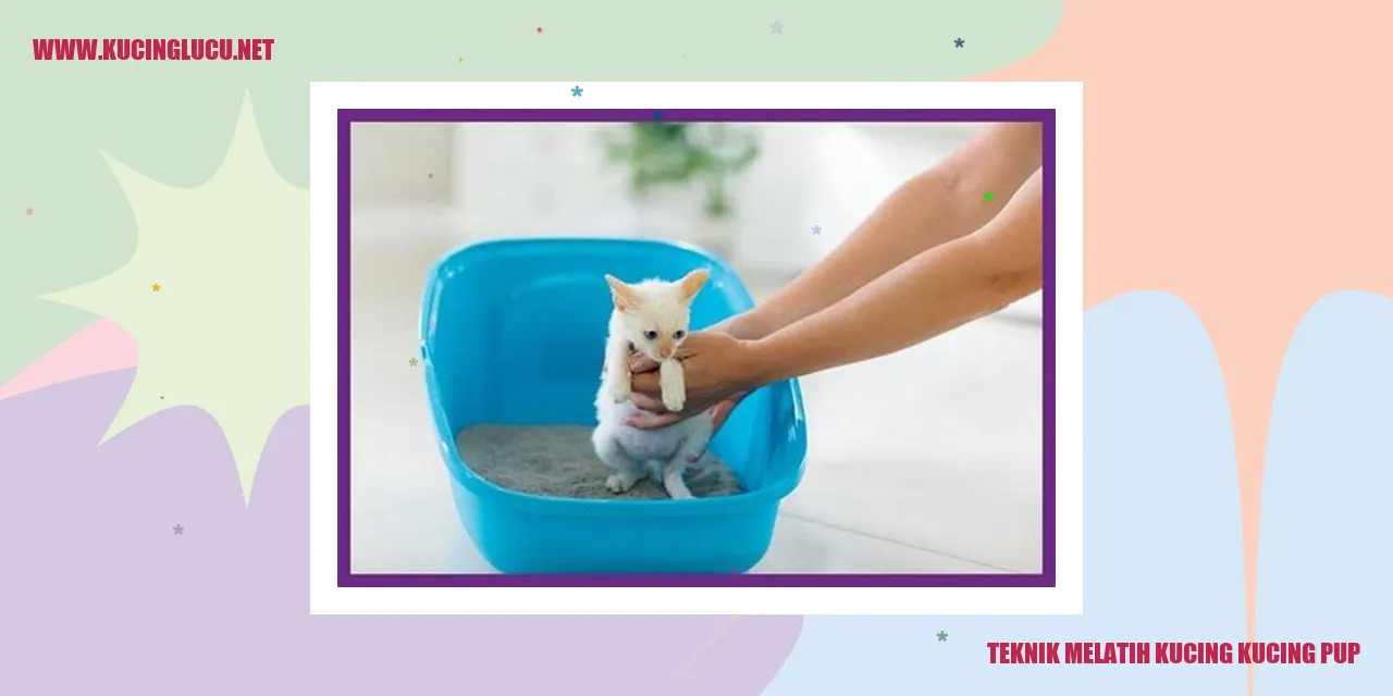 Melatih Kucing Pup