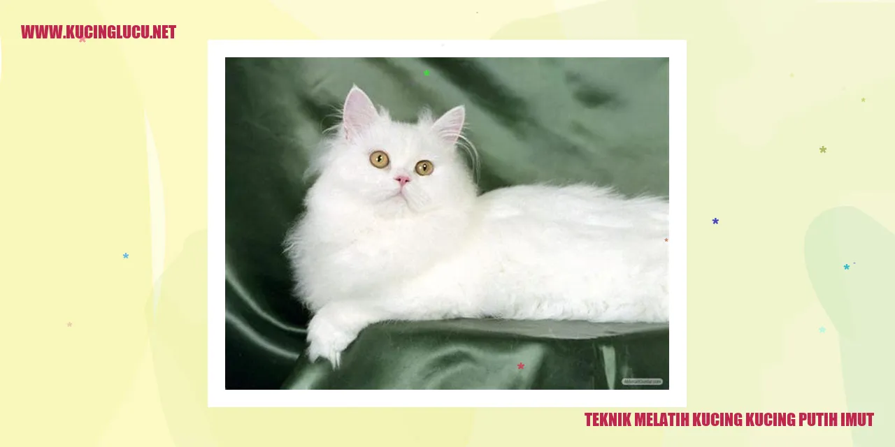 Kucing putih yang menggemaskan