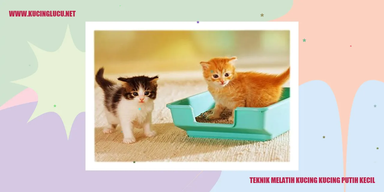 Kucing putih kecil