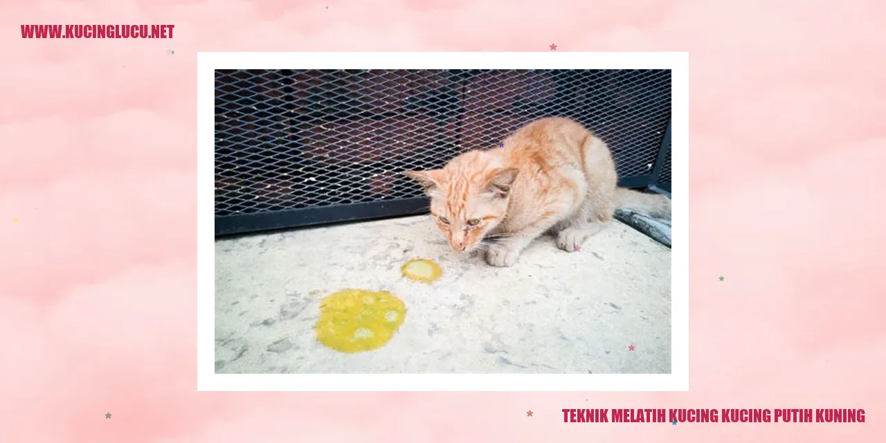 Kucing Putih Kuning