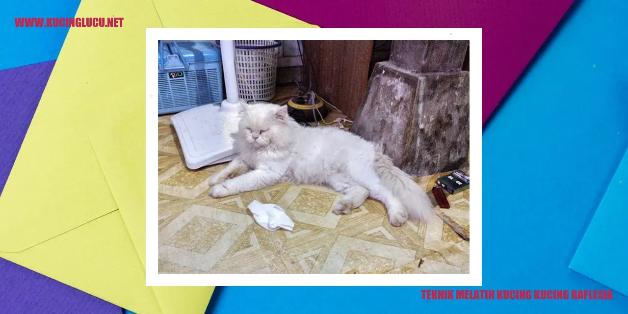 Kucing Raflesia