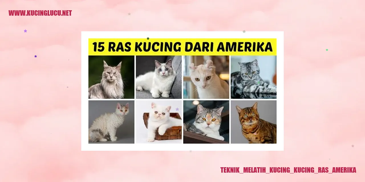 Kucing Ras Amerika