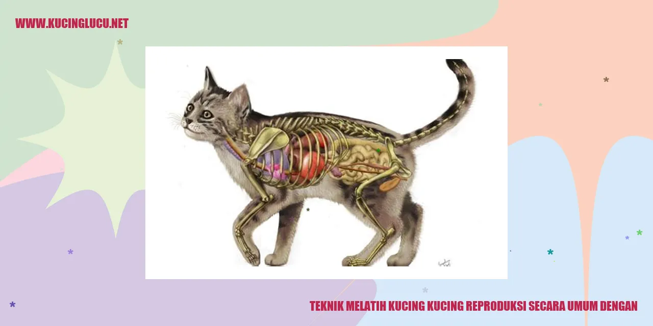 Kucing reproduksi
