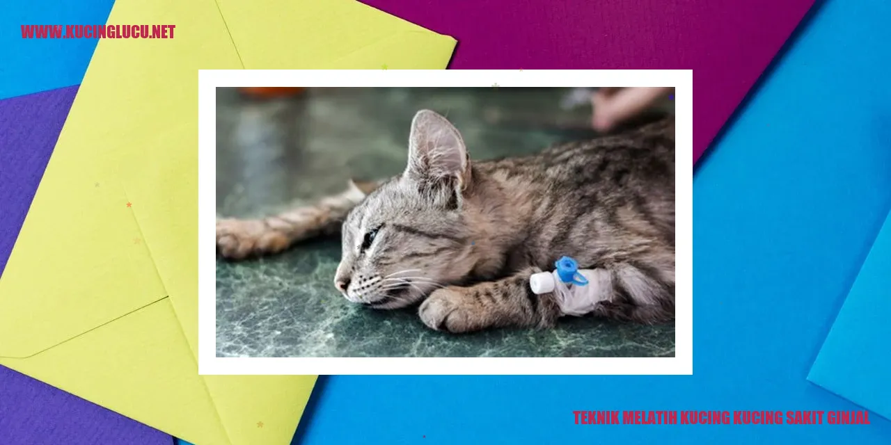 Kucing yang mengidap penyakit ginjal