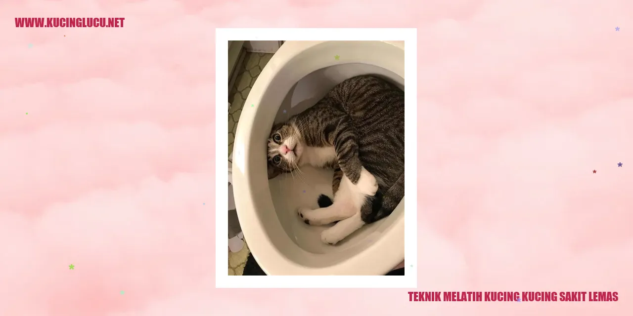 Gambar Kucing Lemah