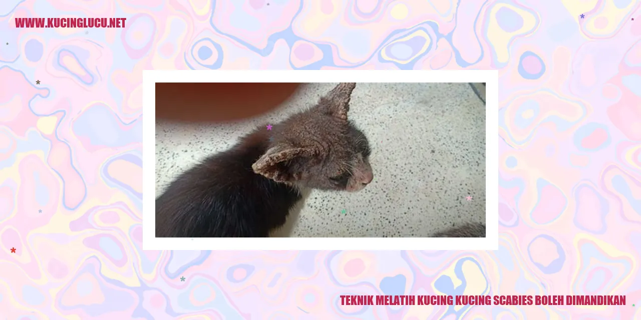 Gambar Kucing dengan scabies