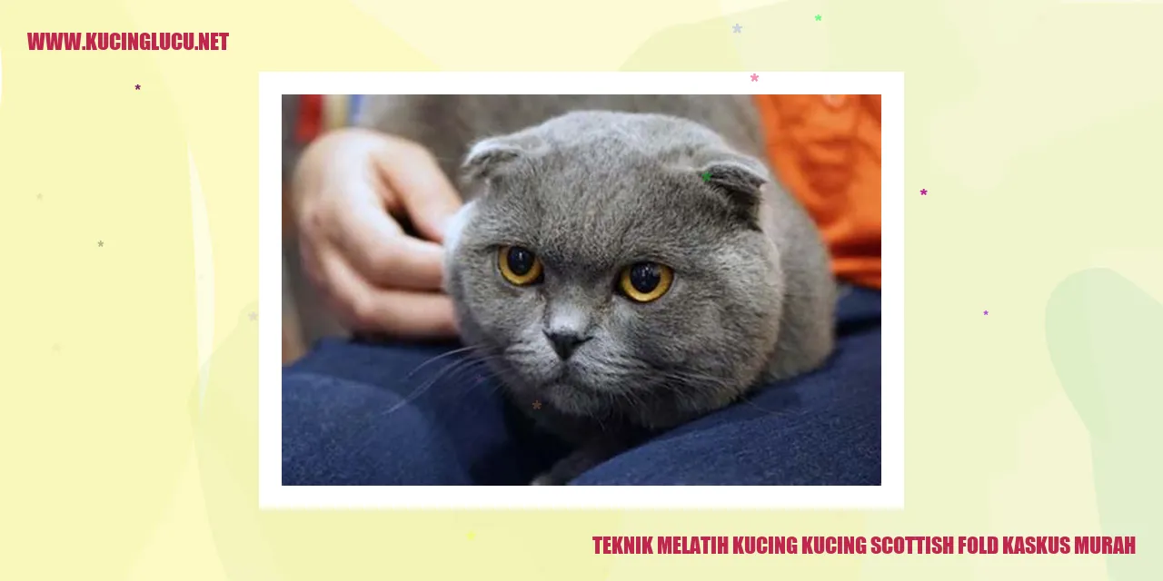 Teknik Melatih Kucing kucing scottish fold kaskus murah