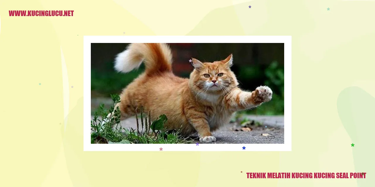 Kucing Seal Point