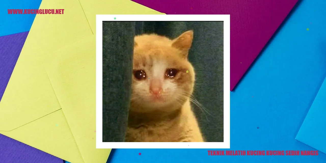 Gambar kucing yang sedih menangis