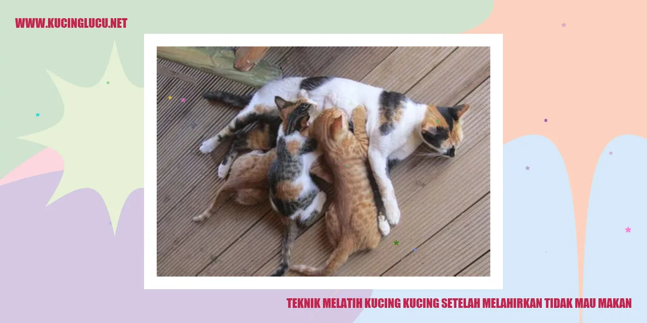 Ilustrasi Kucing yang Habis Melahirkan Tetapi Malas Makan