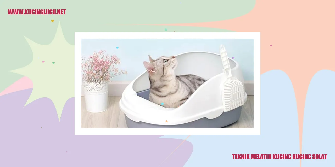 kucing solat
