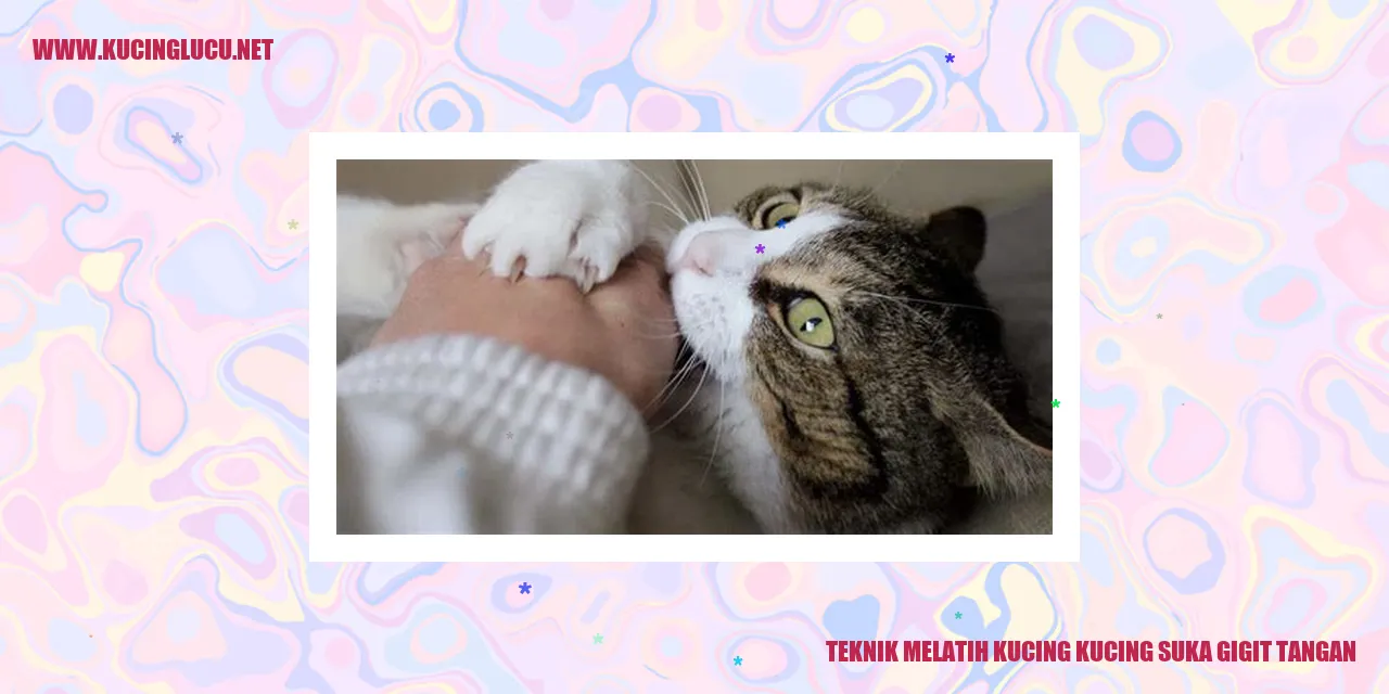 Gambar Kucing yang Suka Menggigit Tangan
