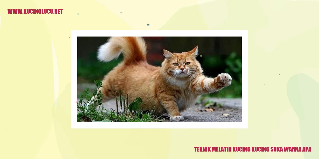 Teknik Melatih Kucing