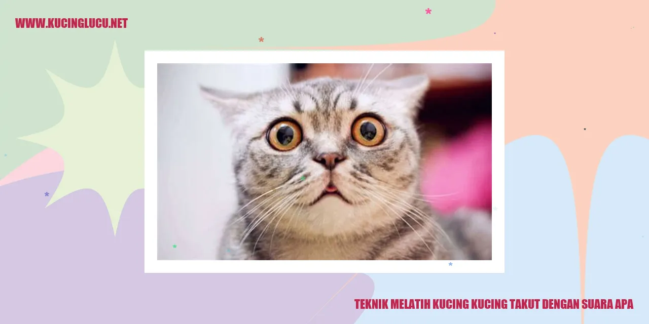 Gambar kucing