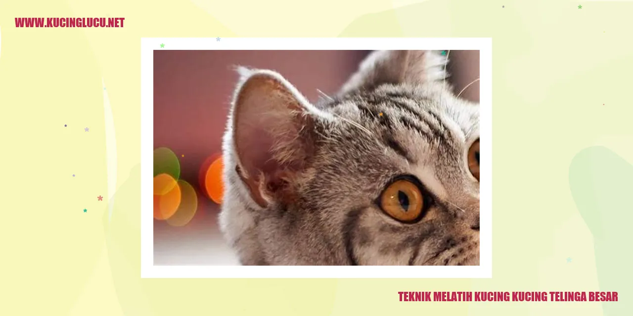 Gambar kucing telinga besar