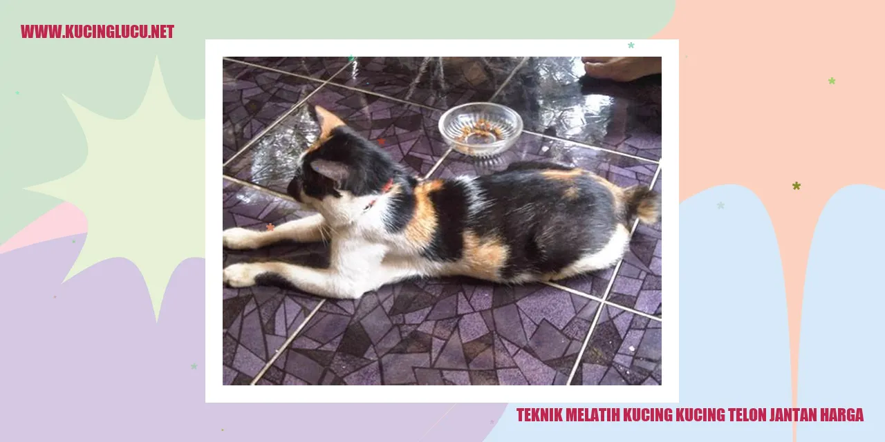 Gambar Kucing Telon