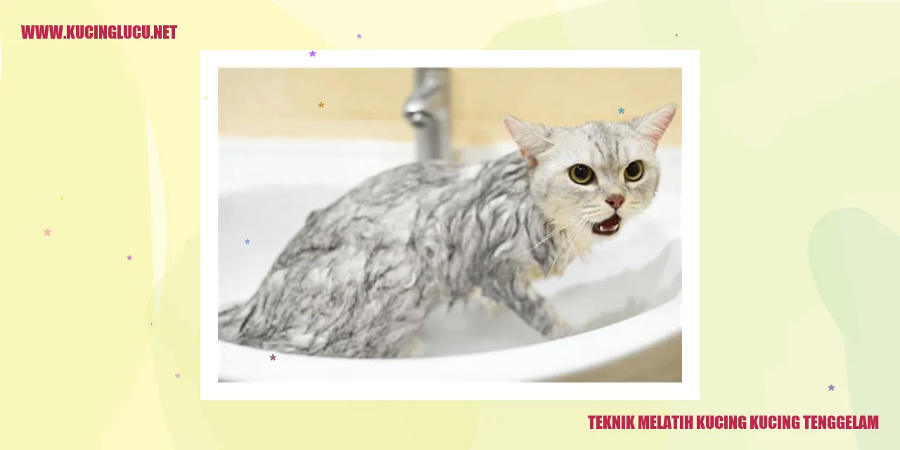 Gambar kucing yang terbiasa dengan air