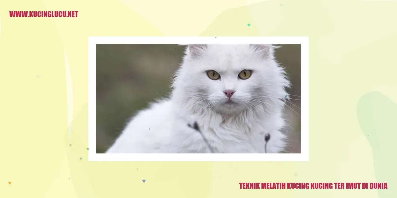 Kucing-kucing terimut