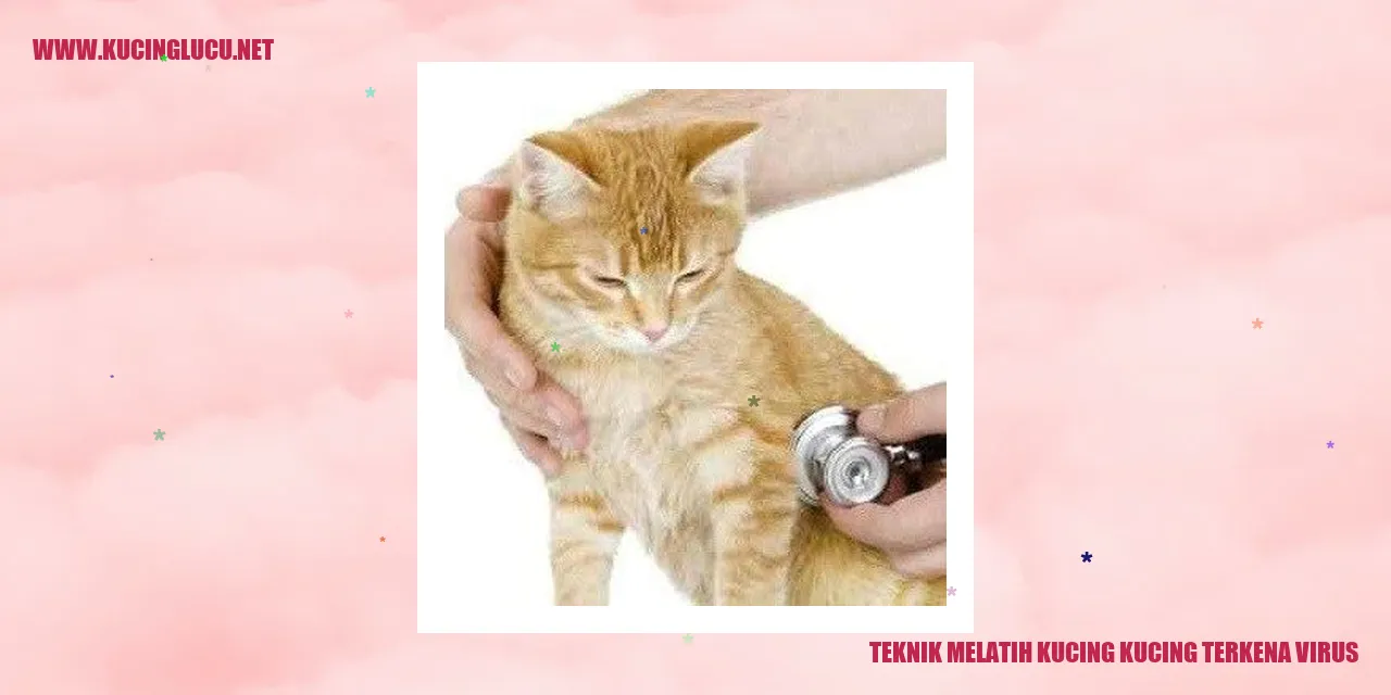 Gambar Kucing yang Terkena Virus