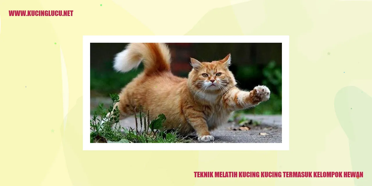 Gambar Kucing yang Menarik