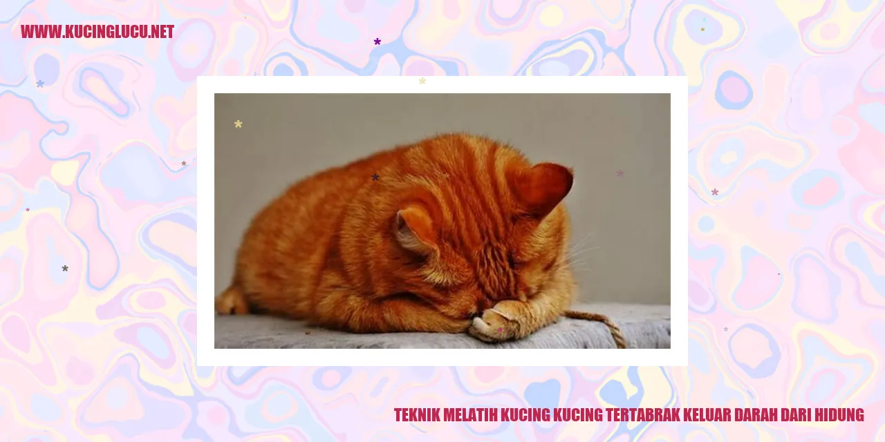 Gambar kucing