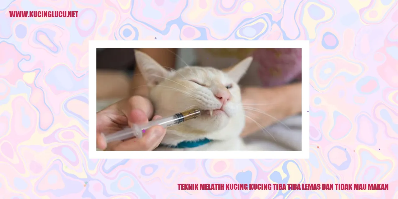 Kucing Kelesuan dan Menolak Makanan