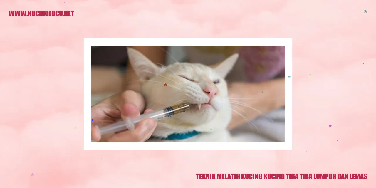 Teknik Melatih Kucing